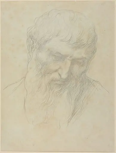 Head of a Man with Curly Hair and Beard