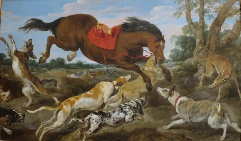 Enraged Horse