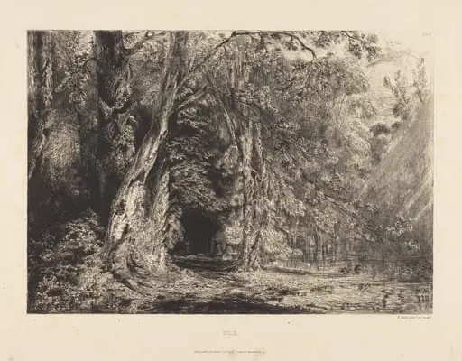 L'Ile Séguin in Flood