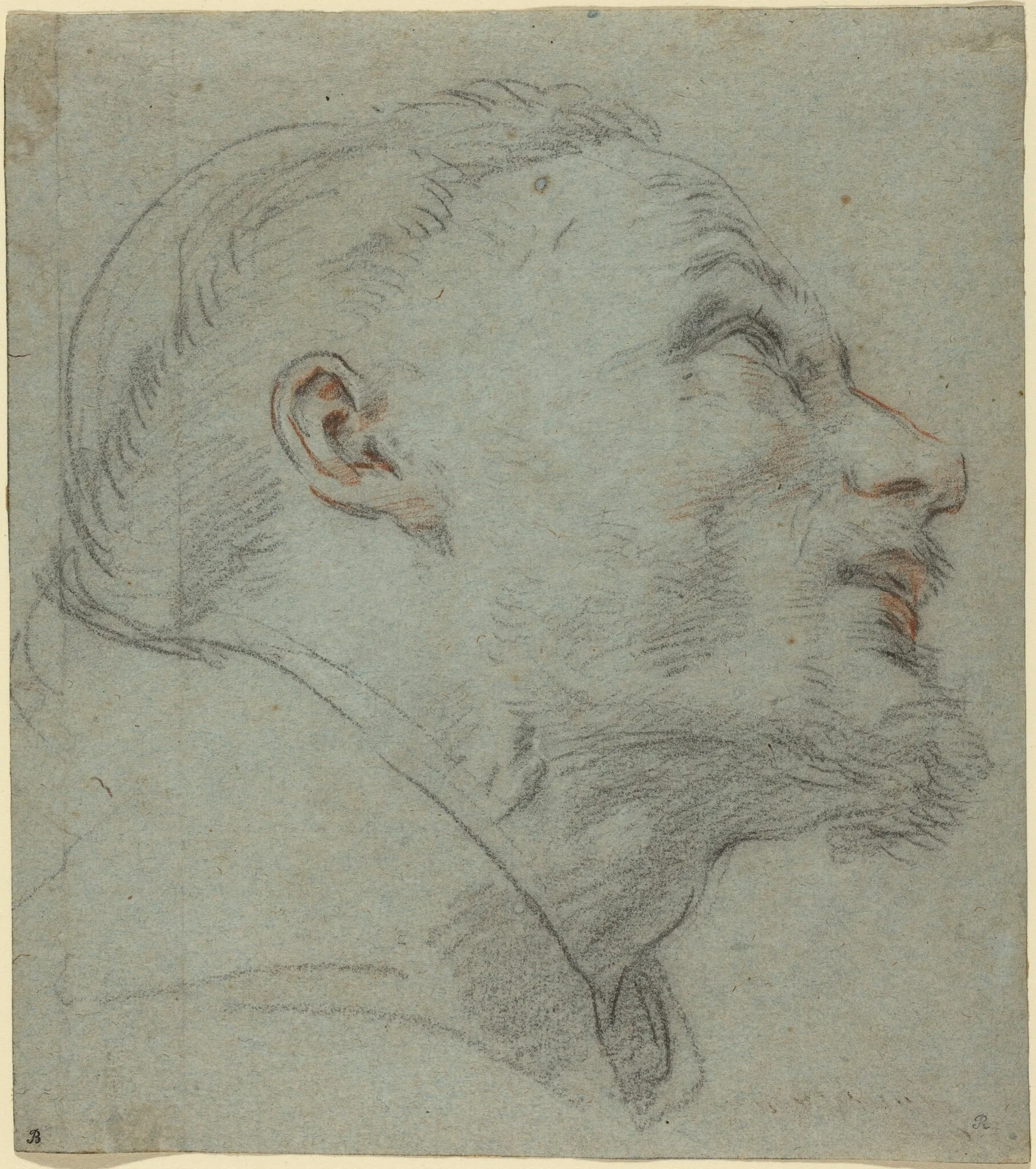 Head of Saint Francis