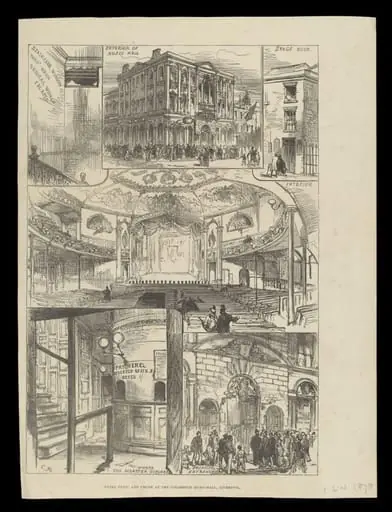 H Beard Print Collection