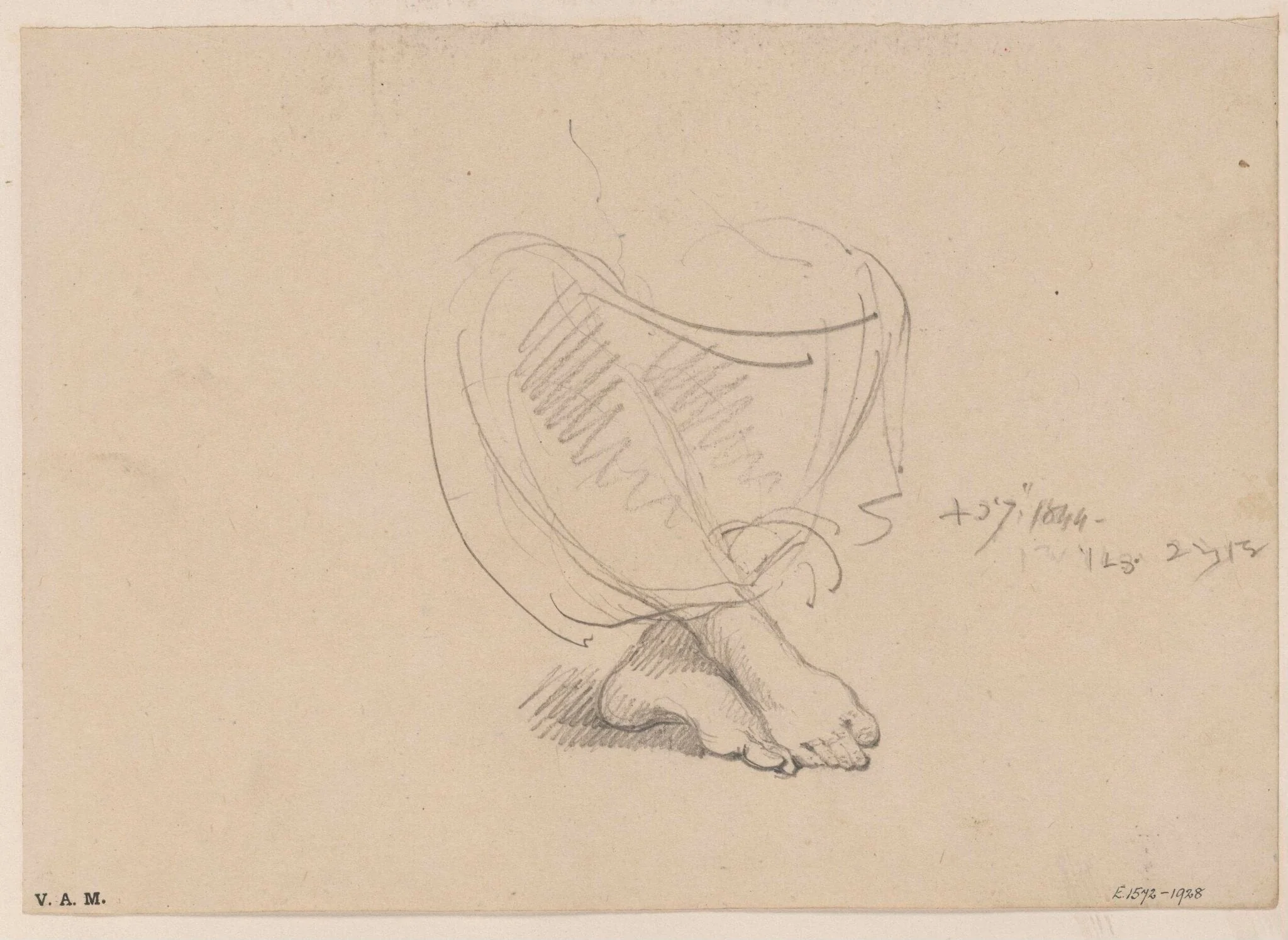 A woman's feet