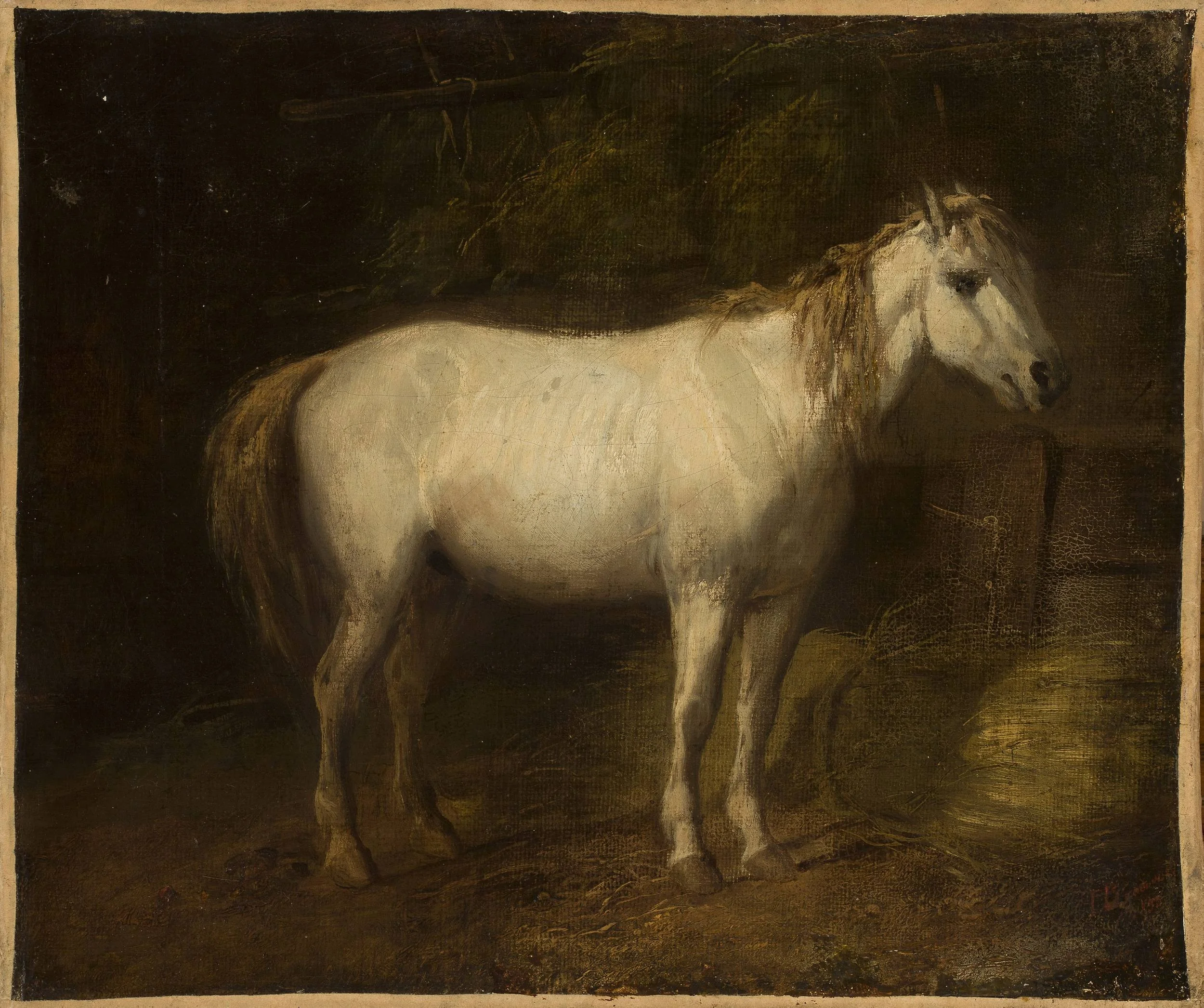 Horse in the stables