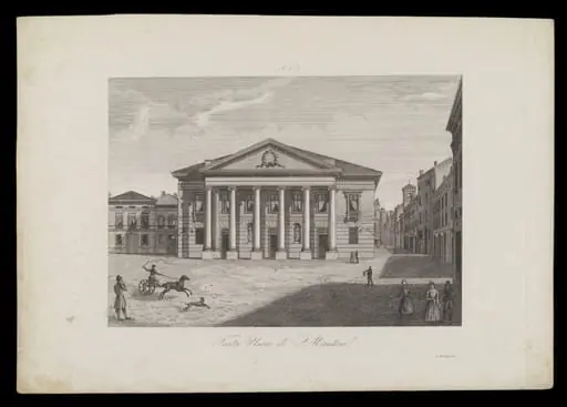 H Beard Print Collection