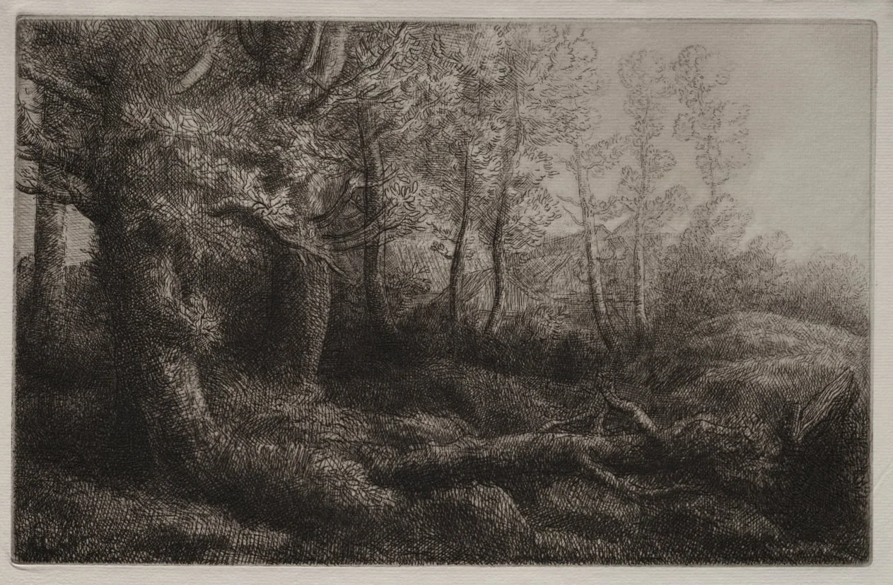 A Woodland Study, by Alphonse Legros, 1884