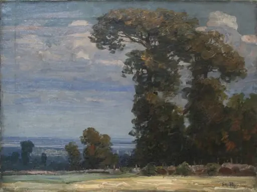 Peisaj