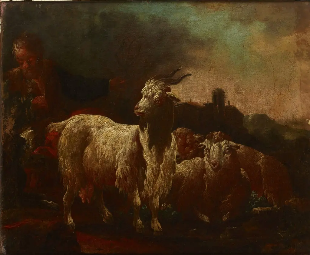 Goats and Sheep