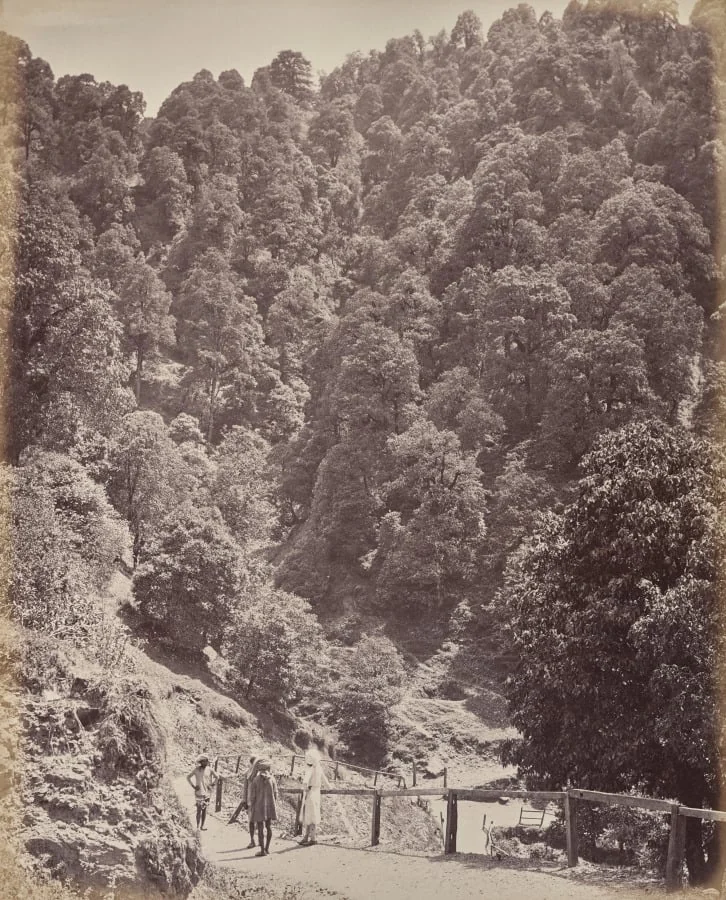 Shimla. View North of Mount Jakko, by Samuel Bourne, 1866