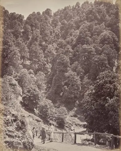 Shimla. View North of Mount Jakko