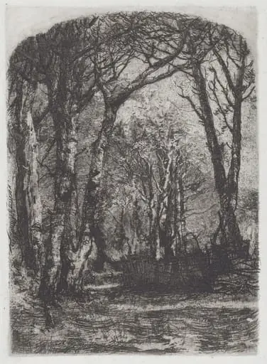 Bosco [Woods]