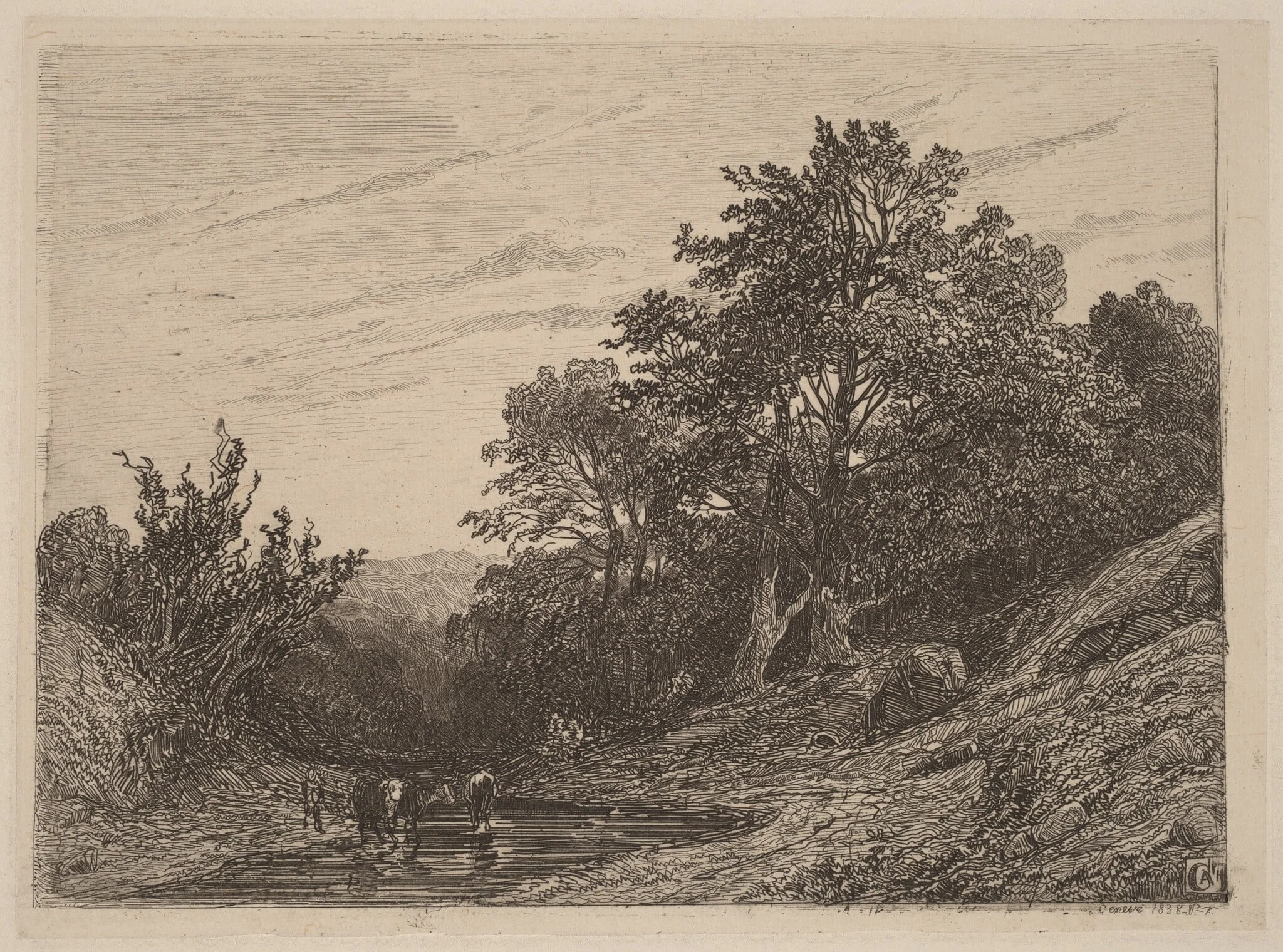 Herd in a Stream