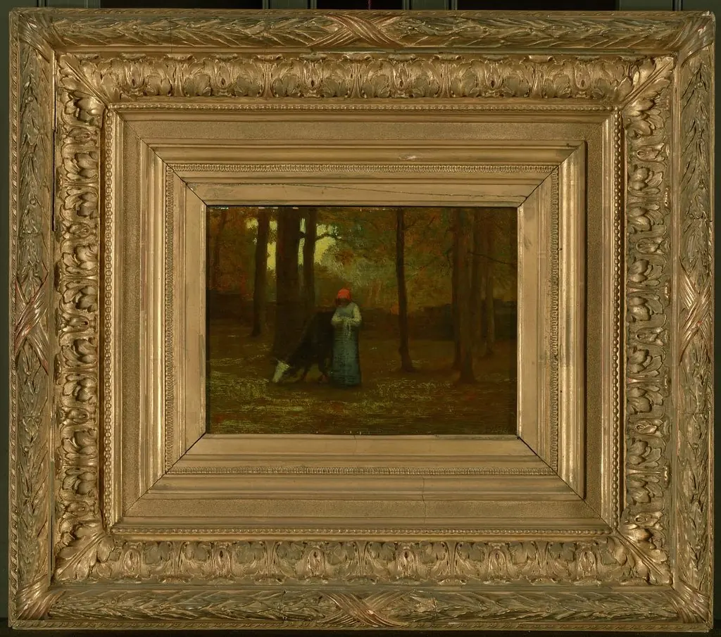 On the Edge of the Forest