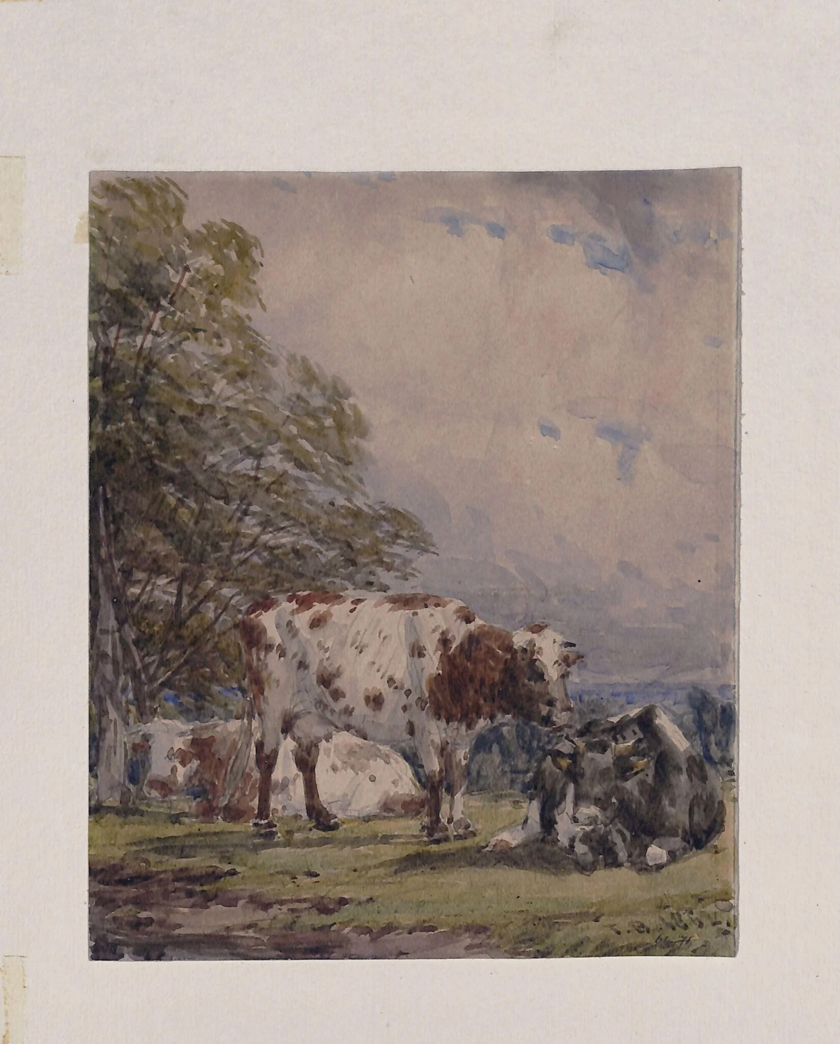 A Study of Cattle, by Thomas Baker, watercolor, 1862