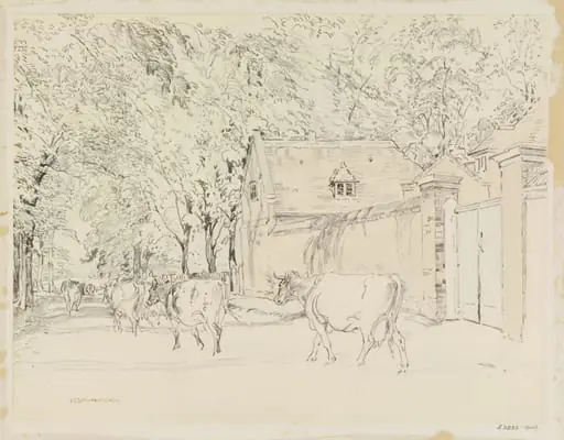 Ham Street, Cows from Manor Farm passing Ham House stables