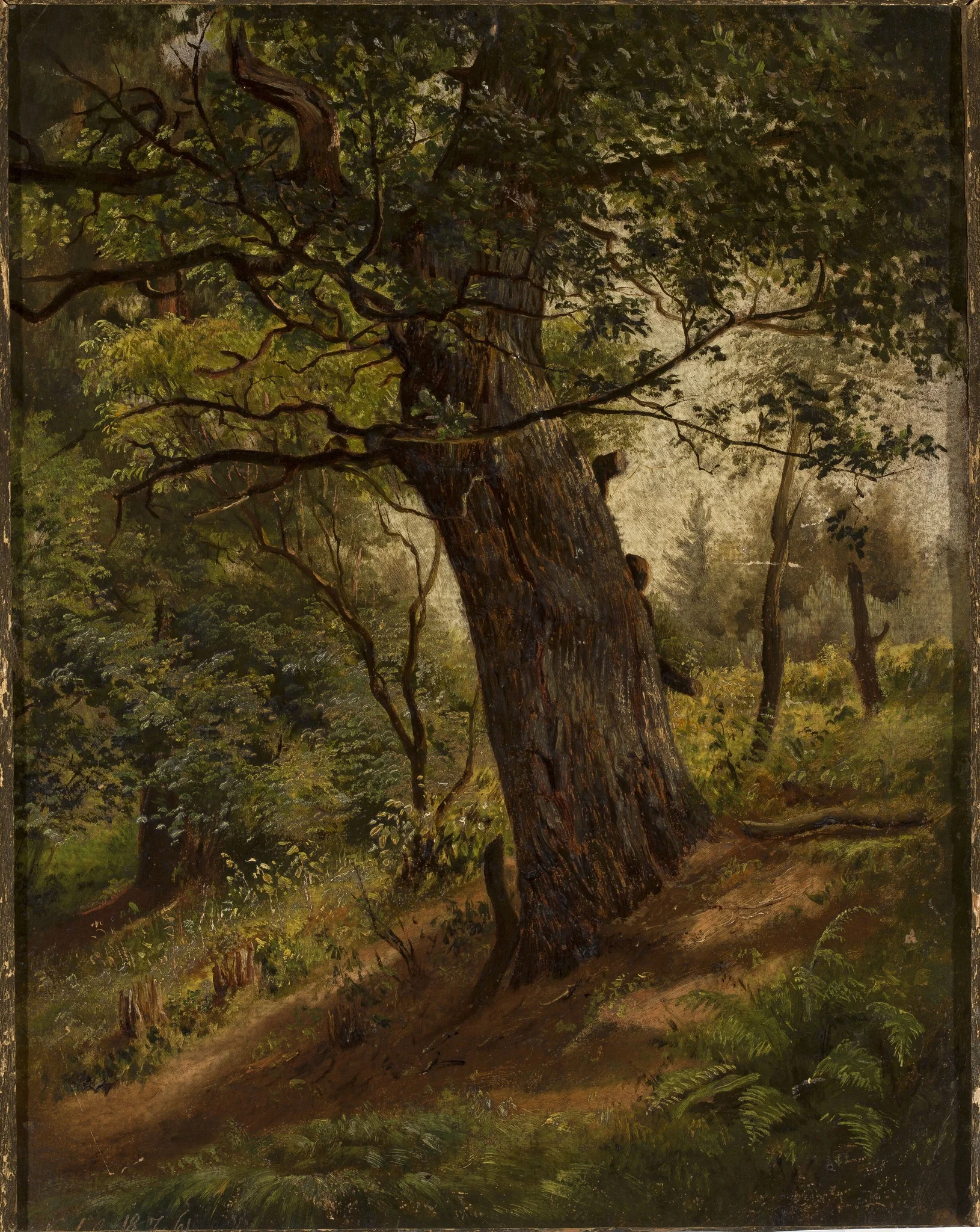 Study of a tree