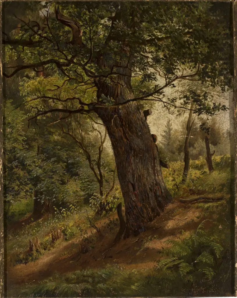 Study of a tree