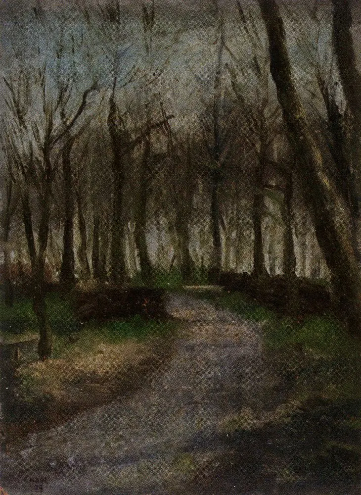 A Path in a Wood