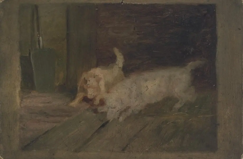 Dogs at play