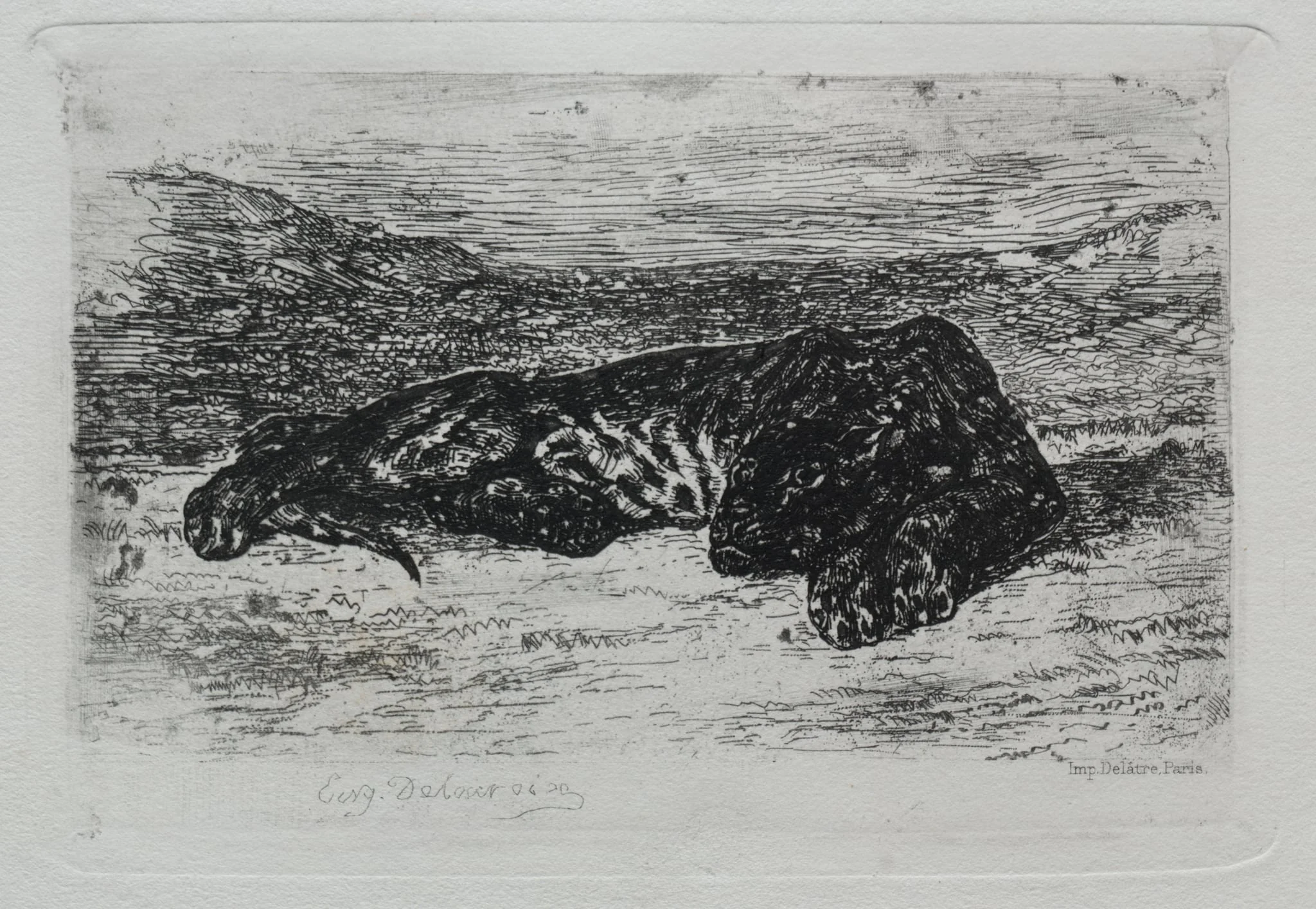Crouching Tiger in the Desert, by Eugène Delacroix, 1846