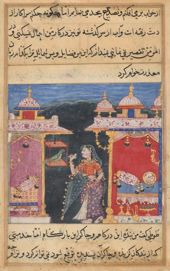 The Parrot Addresses Khujasta at the Beginning of the Seventh Night, from a Tuti-nama (Tales of a Parrot), by Unknown, unspecified, 1560