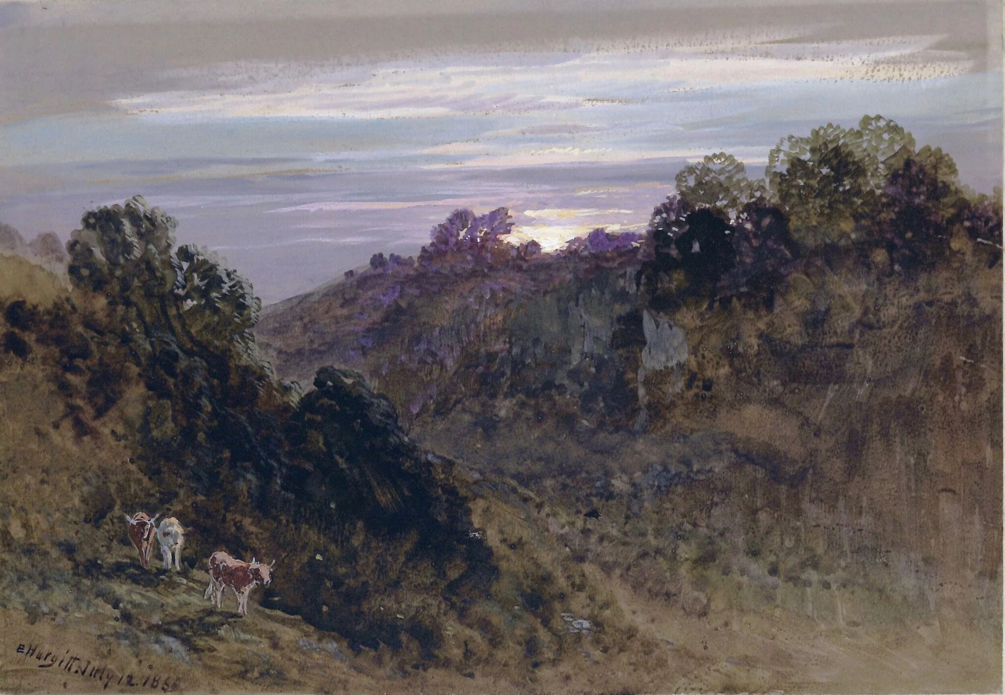Hilly Landscape - Sunset