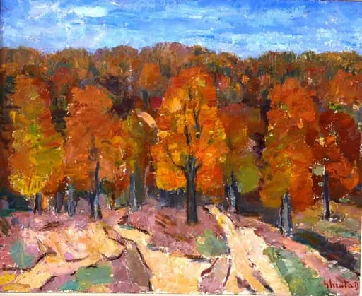 Pădure de fagi