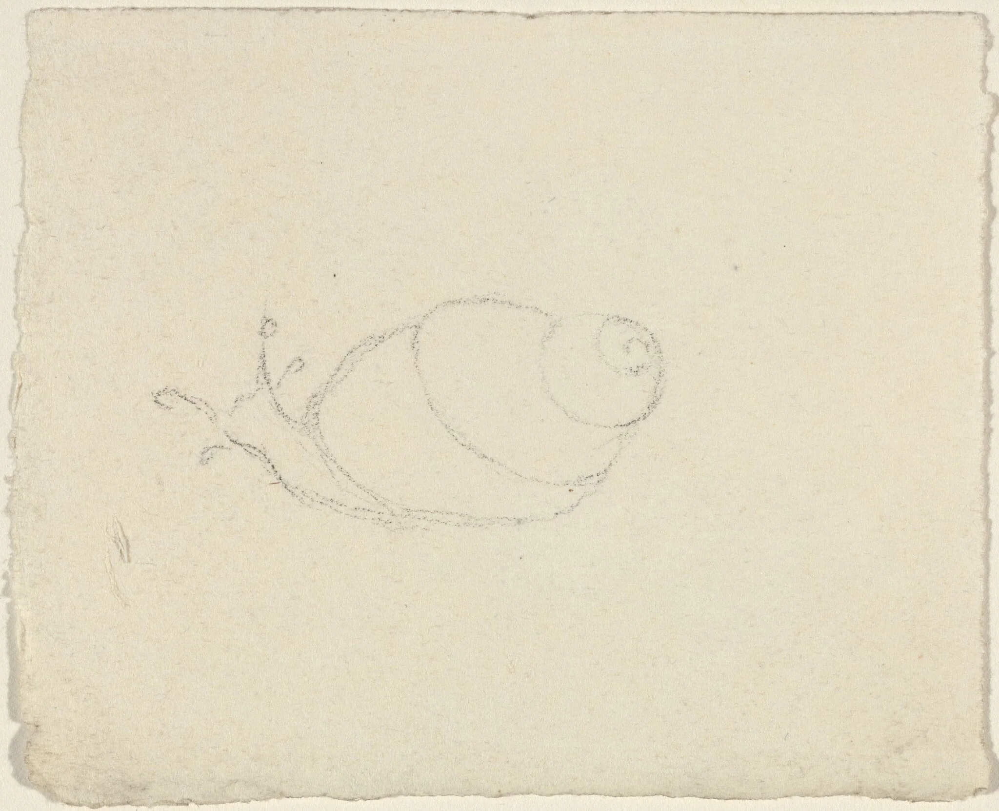 Snails [recto and verso], by John Flaxman, graphite, 1790