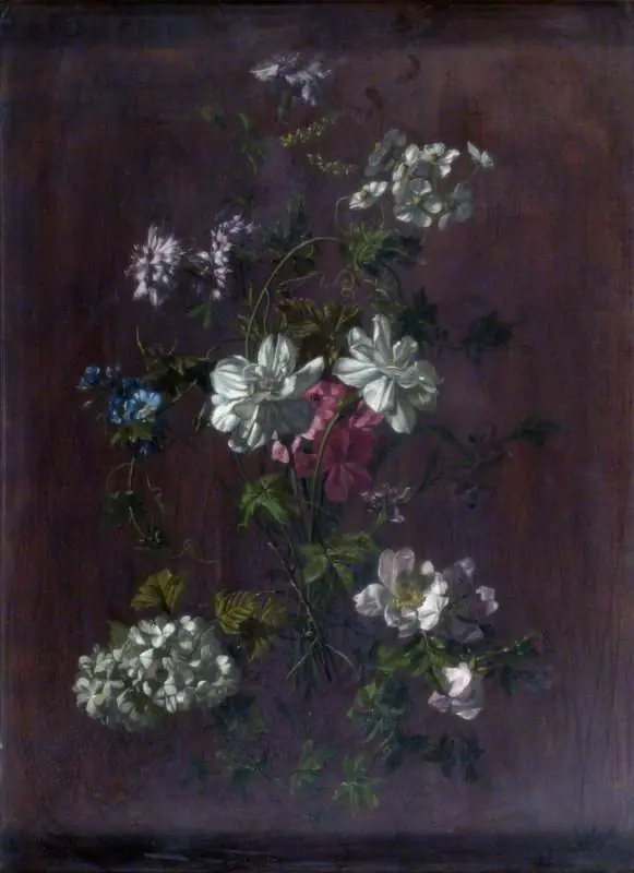 A Study of Flowers