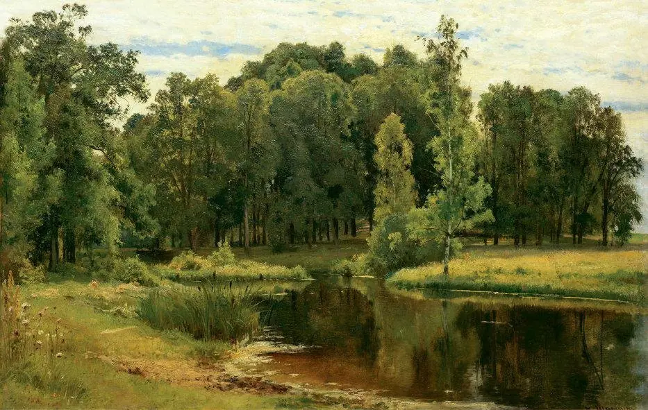 Pond in the old park