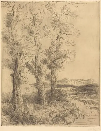 Woman Reading: Lesson under the Trees (La liseuse: La lecture sous les arbres)