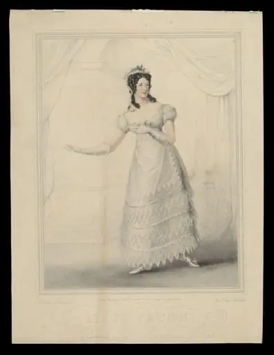 H Beard Print Collection