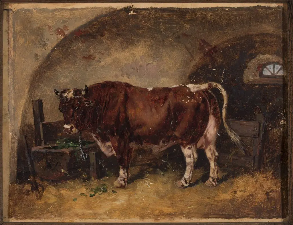 Ox in the barn
