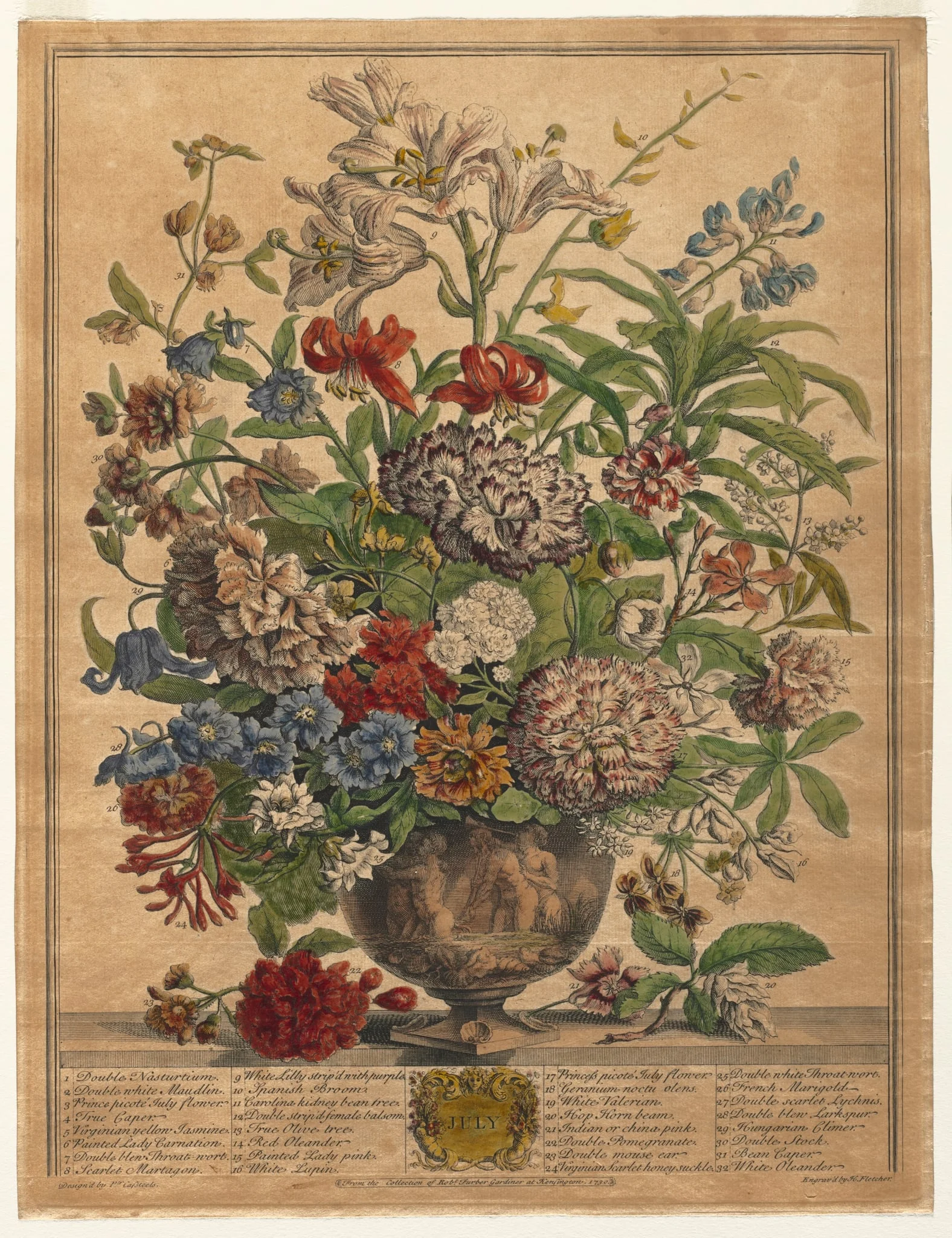Twelve Months of Flowers:  July