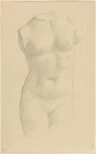 Torso