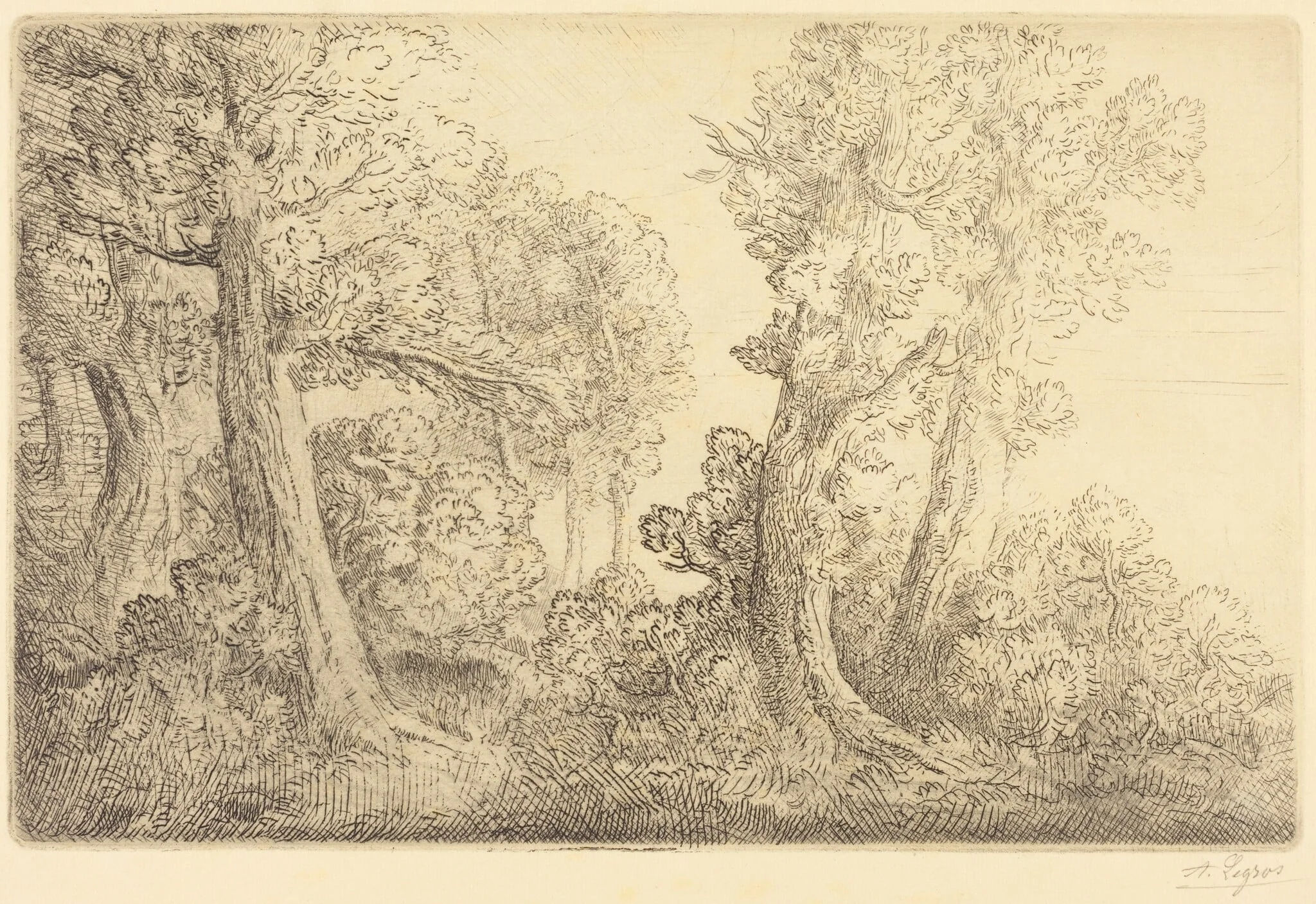 Near the Woods, Veronne (Pres du bois, Veronne)