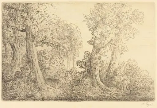 Near the Woods, Veronne (Pres du bois, Veronne)