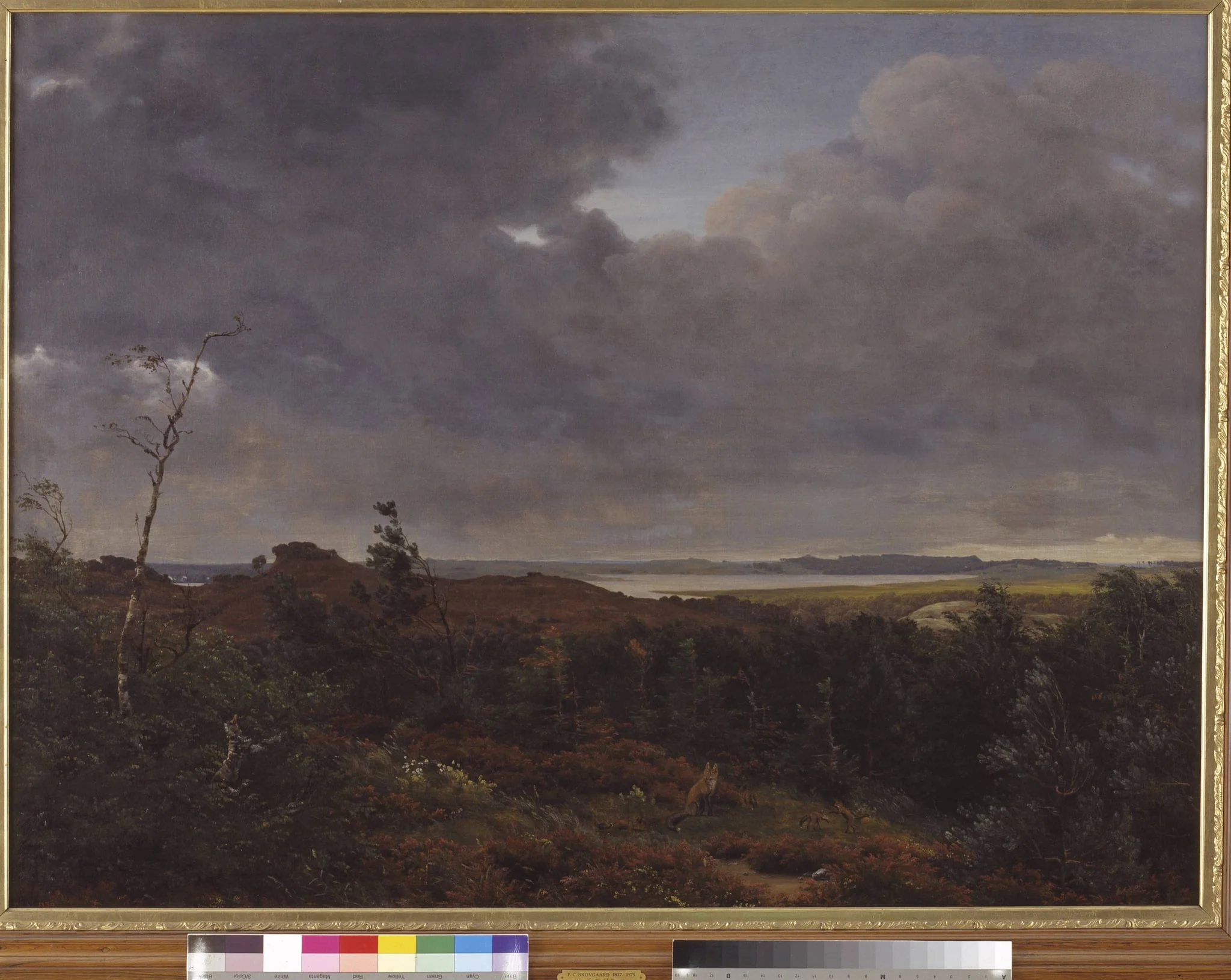 View of Frederiksværk from Tisvilde Wood, North Zealand