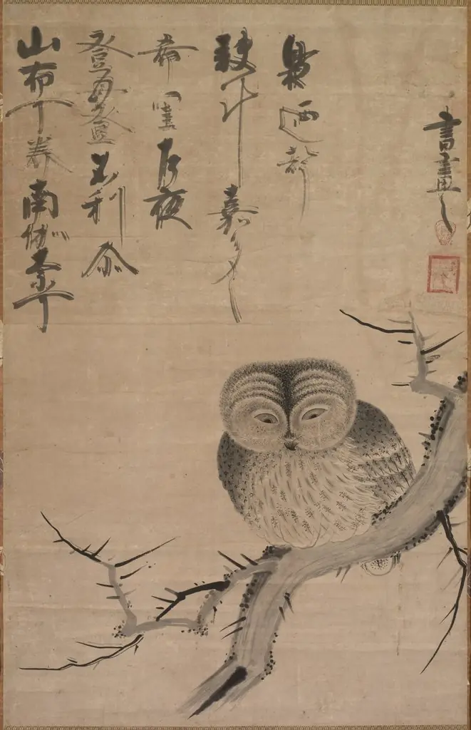 Owl