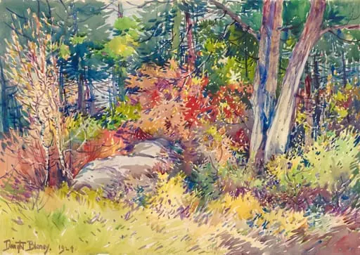 Autumn Forest