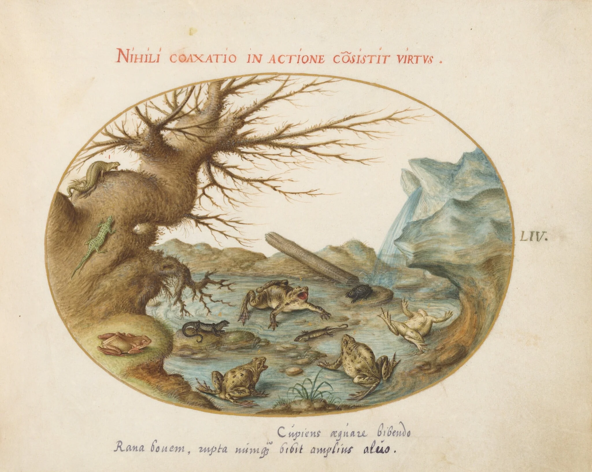Plate 54: Frogs, Lizards, and Salamanders(?) in a Landscape, by Joris Hoefnagel, gouache, 1594