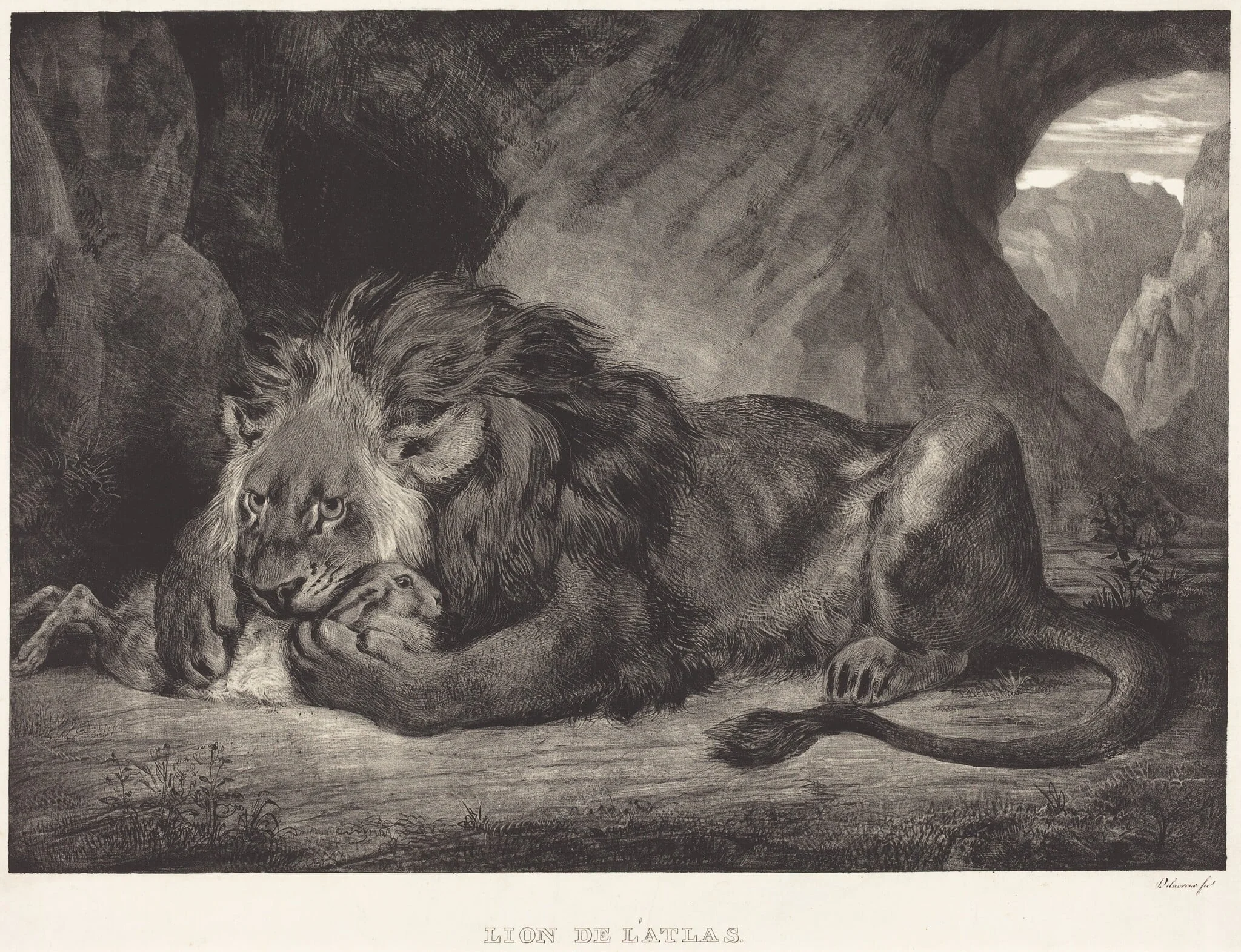 Lion of the Atlas Mountains (Lion de l'Atlas), by Eugène Delacroix, ink, 1829