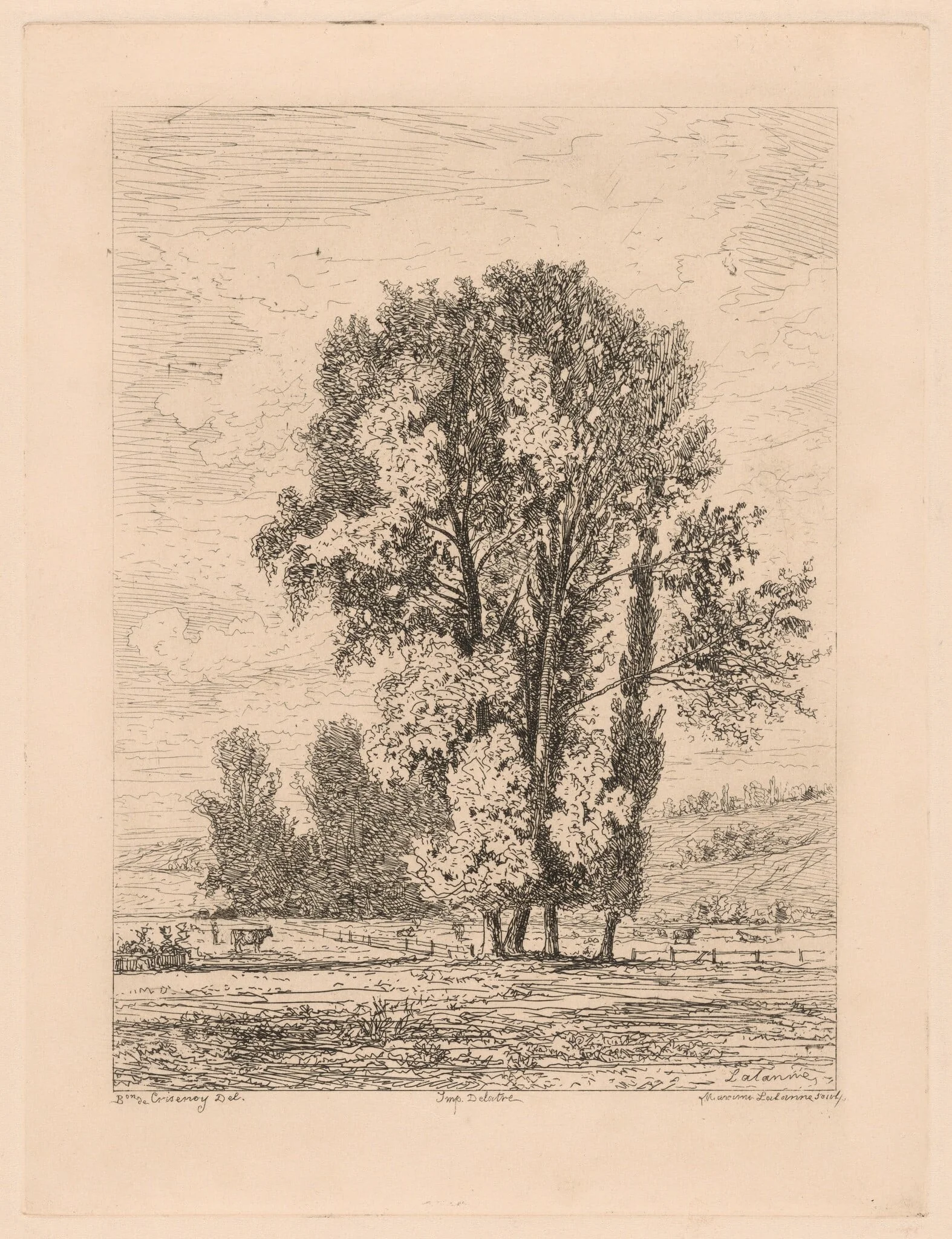 Landscape with Clump of Four Trees, by Maxime Lalanne, ink, 1883