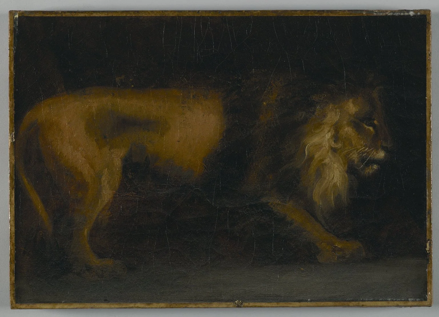 Study of a Lion, by Théodore Géricault, oil, 1850