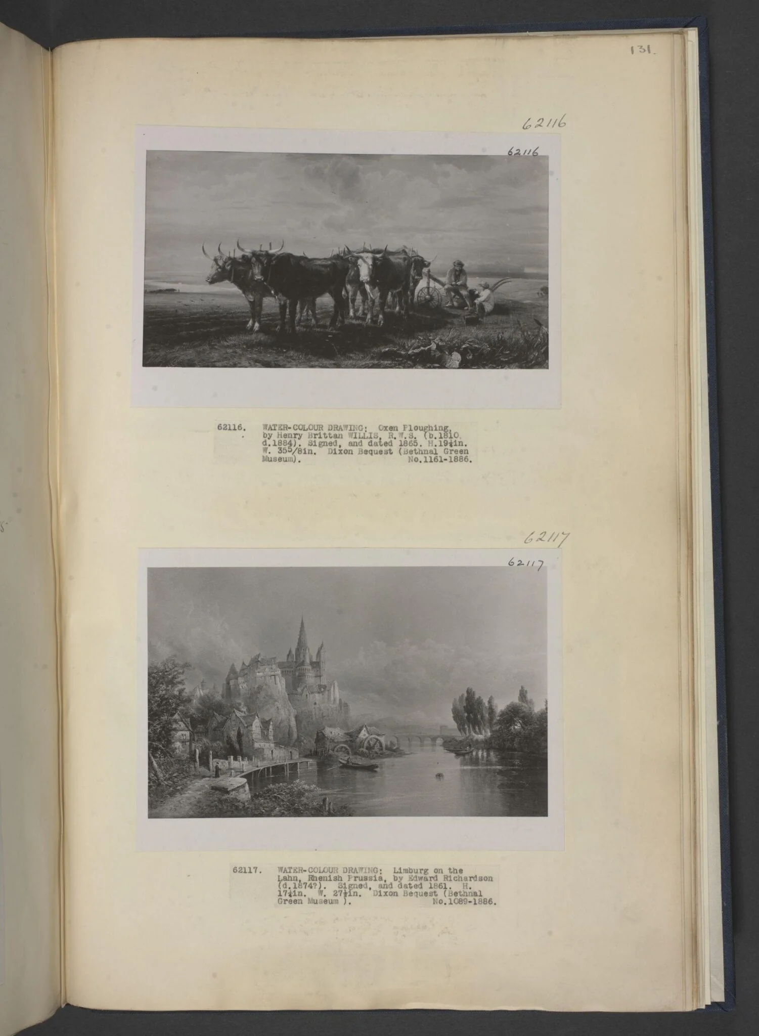 Oxen ploughing