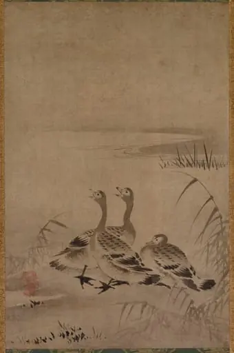 Wild Geese