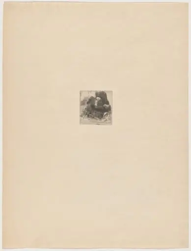 La bailli