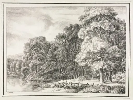 Woodland Scenery with Lake
