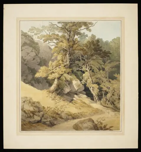 Canonteign, Devon