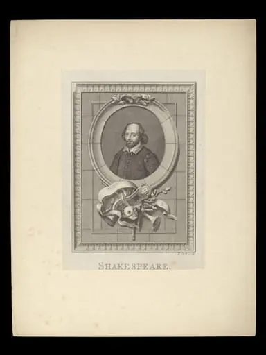H Beard Print Collection