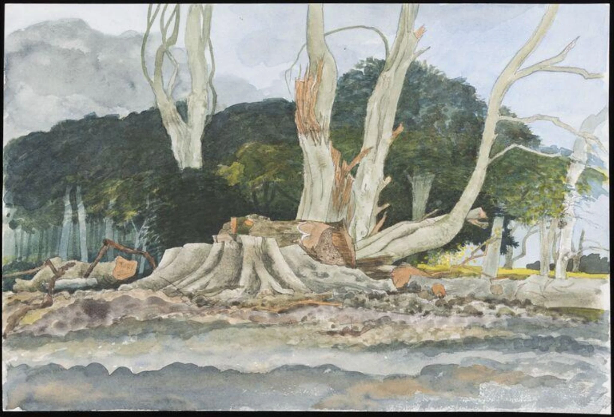 After the Gale 1